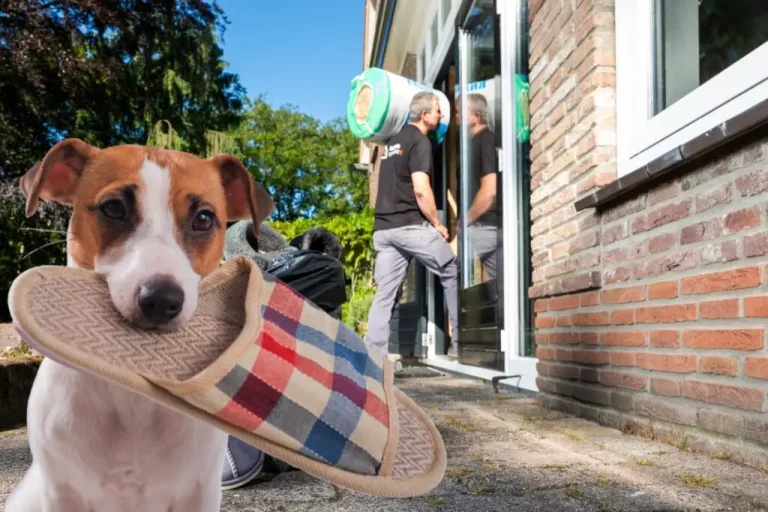 Vloerisolatie-warme-voeten-e1665411016151